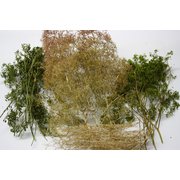 JF852 ディティールアップパーツ 1/72～1/87対応 HOスケール レイアウト装飾用樹木セット [プラモデル用パーツ]