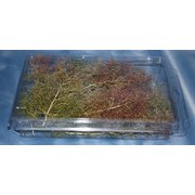 JF903 ディティールアップパーツ 樹木用枝セット 低木用 （スケールフリー） [プラモデル用パーツ]