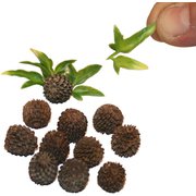 JF904 ディティールアップパーツ ソテツ系ヤシ用幹セット No.2 200シリーズ用 （スケールフリー） [プラモデル用パーツ]