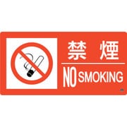059206 [緑十字 消防標識 禁煙・NOSMOKING 消防-6B 250×500mm エンビ]