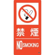 059209 [緑十字 消防標識 禁煙・NOSMOKING 消防-9B 500×250mm エンビ]