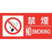 059212 [緑十字 消防標識ステッカー 禁煙・NOSMOKING 消防-12B 250×500mm]