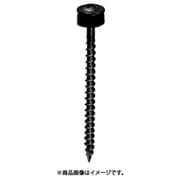 10174351 [VP 瓦用SUS410 パワービス 3.8X65（黒ラスパート）オレフィンパッキン 20本]
