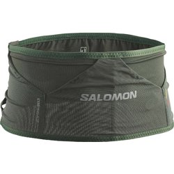 adv salomon