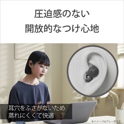 ヨドバシ.com - ソニー SONY 完全ワイヤレスイヤホン LinkBuds（リンク
