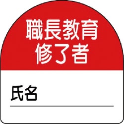 371-20 [教育修了者ステッカー職長教育 PPステッカー 35×35 10枚組]