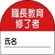 371-20 [教育修了者ステッカー職長教育 PPステッカー 35×35 10枚組]