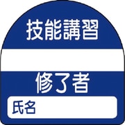 371-22 [教育修了者ステッカー技能講習 PPステッカー 35×35 10枚組]