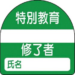 371-23 [教育修了者ステッカー特別教育 PPステッカー 35×35 10枚組]