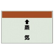 401-25 [配管識別シート（縦管用）↑蒸気 （大）・ユニシート・250X1000]