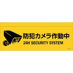 407063 [緑十字 イラスト標識（天井用） 防犯カメラ作動中 CIS-6 C 140×360mm PET]