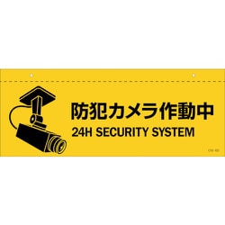 407064 [緑十字 イラスト標識（天井用） 防犯カメラ作動中 CIS-6 D 140×360mm PET]