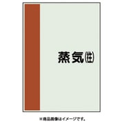 407-42 [配管識別シート 矢印なし 横 蒸気往 大]
