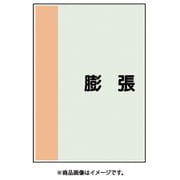 409-98 [配管識別シート 矢印なし 横 膨張 極小]