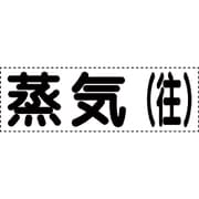 430-152 [カッティング文字 横型 蒸気往]