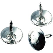 460-52 [ビョウ ステンレス製100本入・針長10mm]
