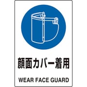 802-731 [JIS規格標識 顔面カバー着用]