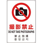 802-910 [4カ国語標識 平板タイプ撮影禁止]