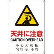 802-911 [4カ国語標識 平板タイプ天井に注意]