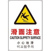 802-912 [4カ国語標識 平板タイプ滑面注意]