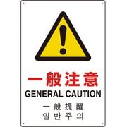 802-916 [4カ国語標識 平板タイプ一般注意]