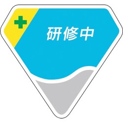 849-64 [胸章 研修中]