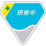 849-64 [胸章 研修中]