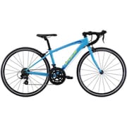 子ども用自転車 ACE 650 13.75インチ ライトブルー 22AC65BL35