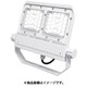 FLS-65W-N-K3-R8-W [IRIS 角型投光器 電球色 65W 狭角]