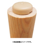 WAKI 打ち込み式スリップ 24ミリ 4個入 FPK-09