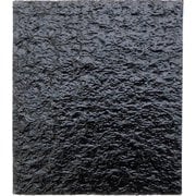 WAKI すべり止めフェルト 29X25X2 8枚入 FS-802
