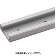 (190043711)ミニガイドレール MRS40-1200