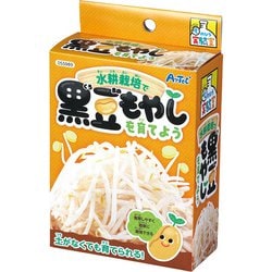 55989 [てのひら実験室水耕栽培で育てる黒豆もやし]