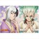 Dr.STONE クリアファイルD [キャラクターグッズ]