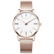 ユニセックス ステンレスベルト ゴールドメッシュ 正規品 1年保証 Manoa LS04 38mm