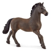 13946 [HORSE CLUB オルデンブルク（オス）]