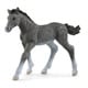 13944 [HORSE CLUB トラケナー（仔）]