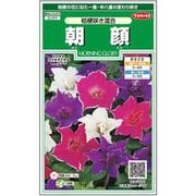 朝顔 桔梗咲き混合 1袋