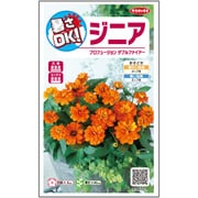 暑さOK！ジニア プロフュージョンダブルファイアー 1袋