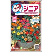 暑さOK!ジニア プロフュージョンミックス 約15粒
