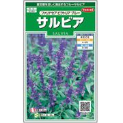 サルビア ファリナセアビクトリアブルー 1袋