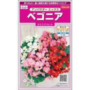 ベゴニア アンバサダー ミックス 1袋