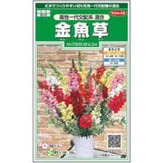 金魚草高性一代交配系混合 1袋