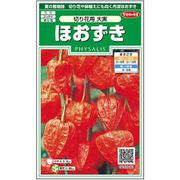 ほおずき 切り花用大実 約143粒