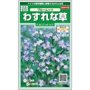 わすれな草 ブルームッツ 約65粒