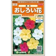 おしろい花 混合 1袋