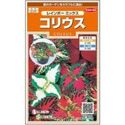 コリウスレインボーミックス 約72粒