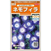 ネモフィラインシグニスブルー 1袋