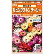 リビングストンデージー美色混合 1袋