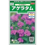 アゲラタムトップブルー 1袋